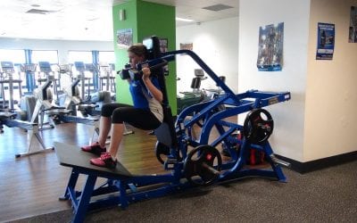 Hack or V-Squat
