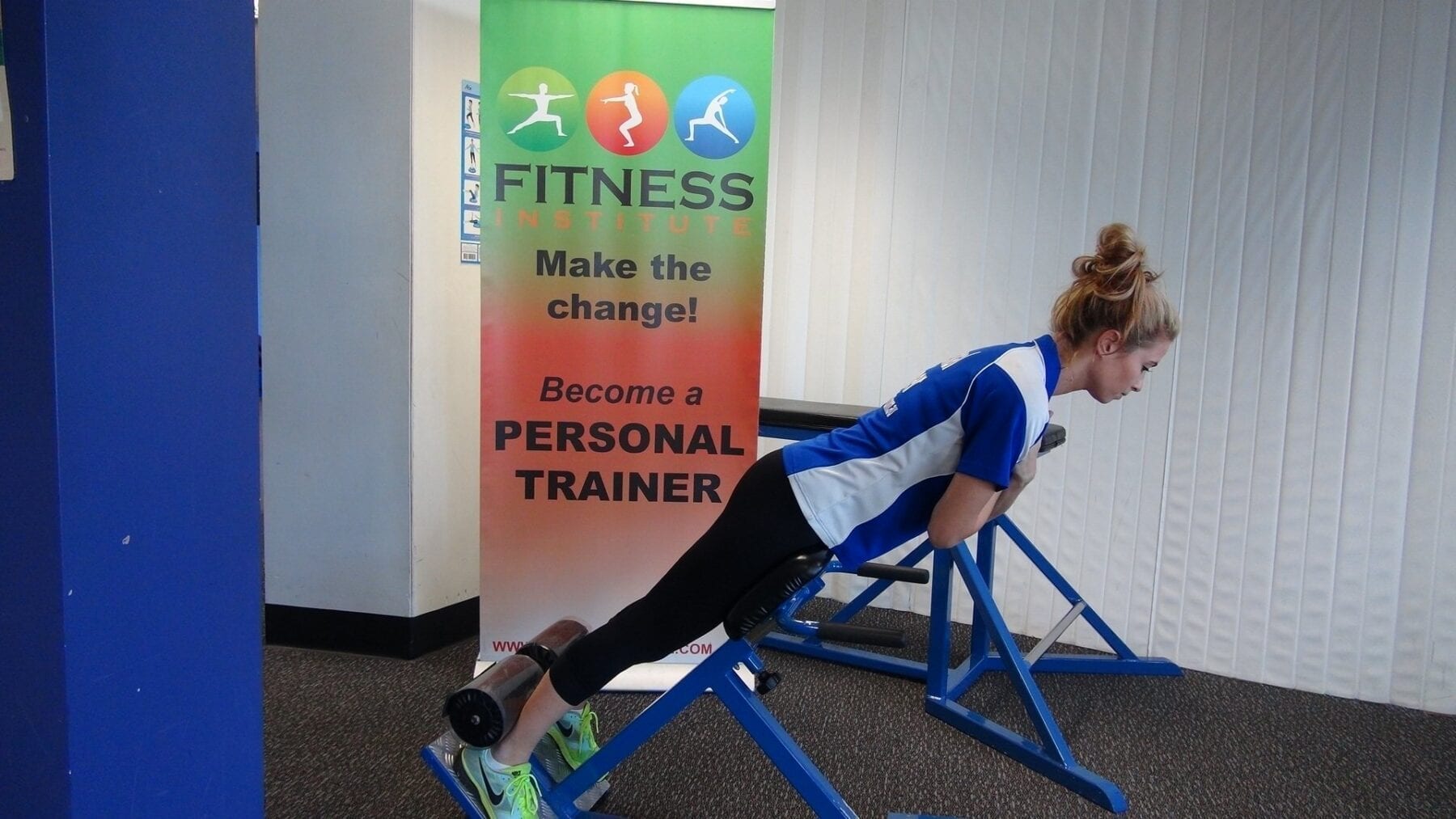 Fitness Institute Back Extension