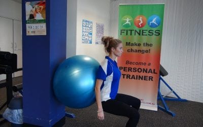 Fitball Squats