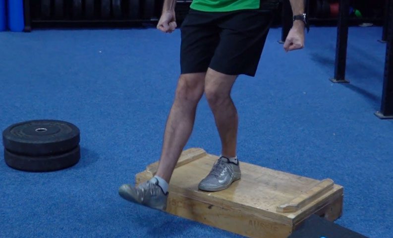 Reverse Step Ups