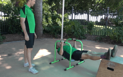 Lebert Equalizer Push ups & Rows