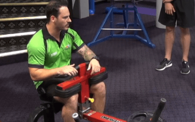 Seated Calf Raise